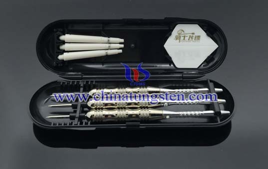 dart case dart case