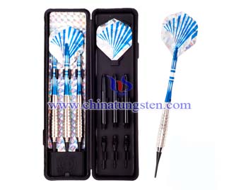 dart case