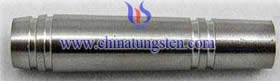 Tungsten Dart Picture